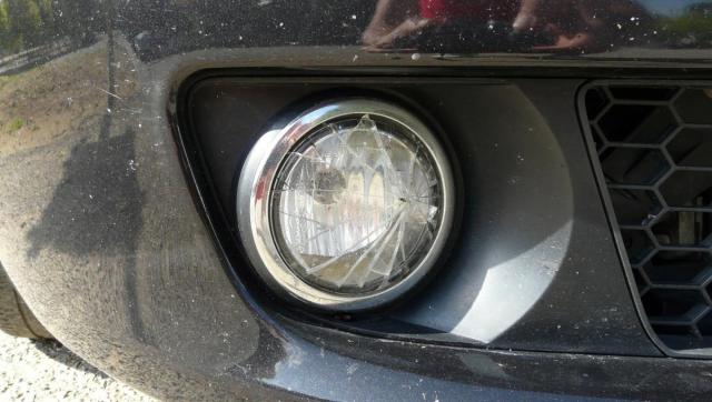 post-16275-0-66271600-1379720297_thumb.j