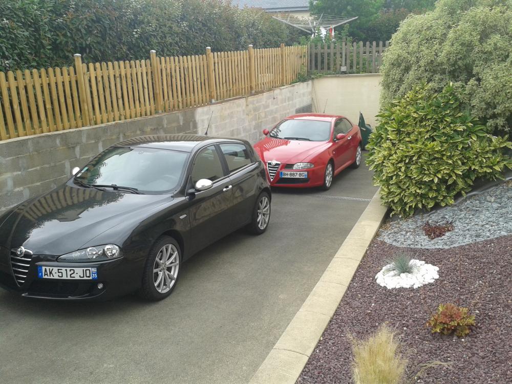 alfa3.jpg
