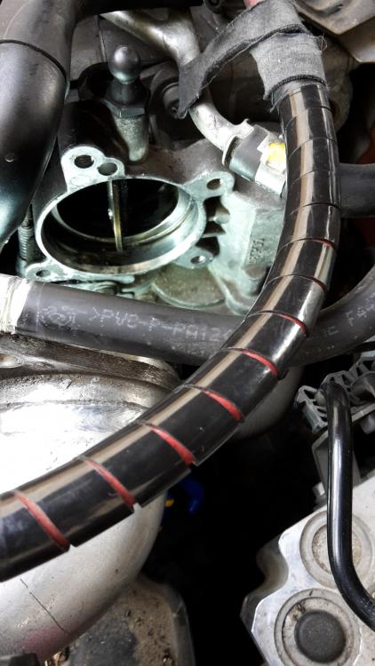 Entrée du collecteur.jpg