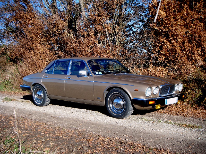 5649d8d206e39_DSCF1974V2-2.jpg.70c1fd21d