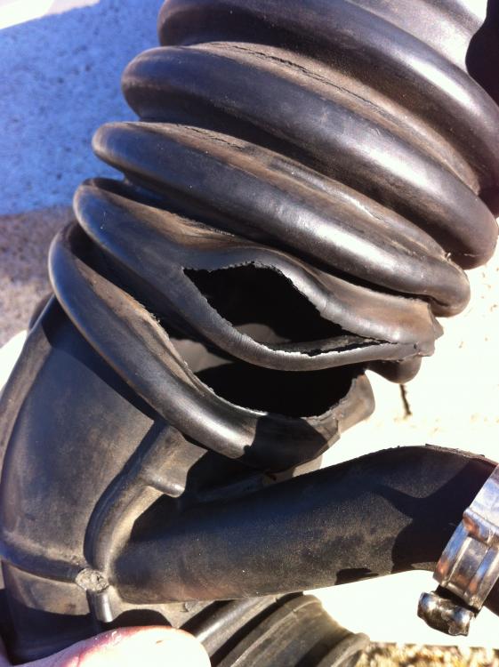 image.thumb.jpg.aefccbf711c9b7be715e2f70