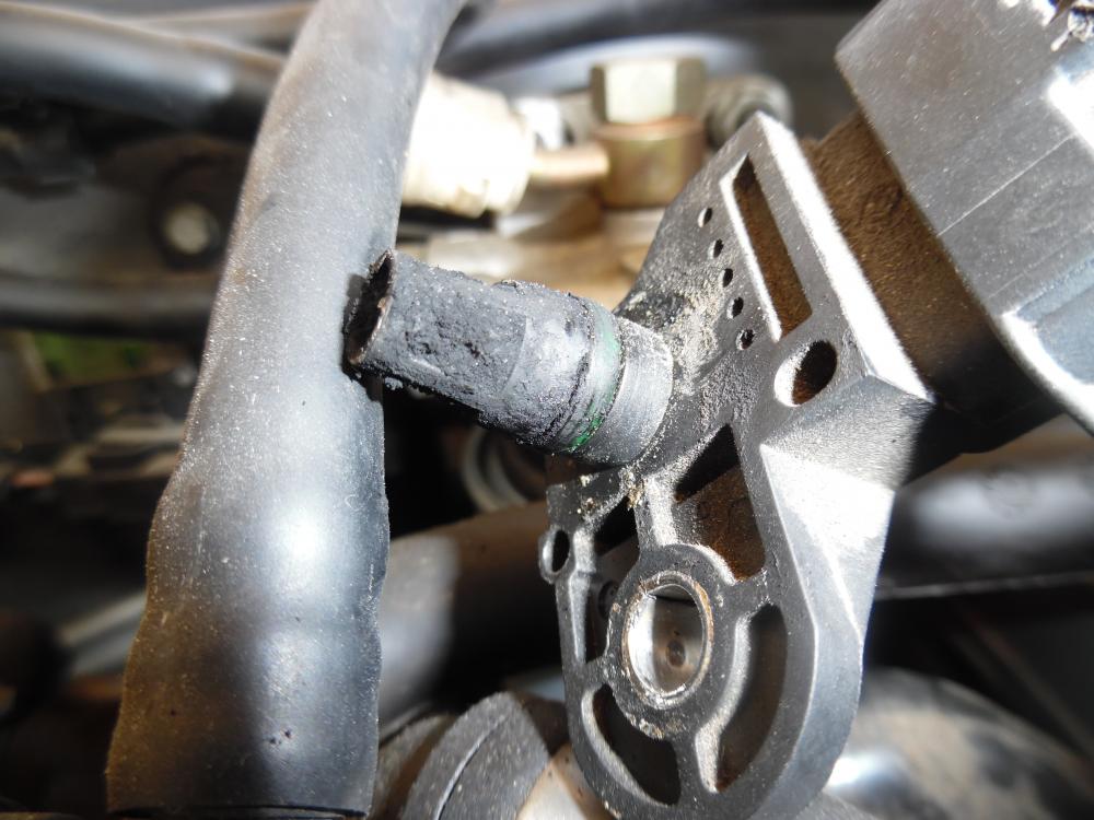 SAM_0592.thumb.JPG.82ceea91d1bda072ad734