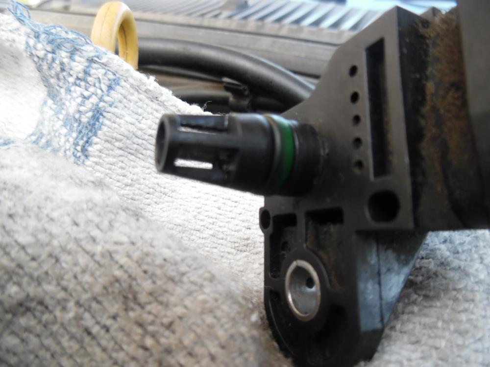 SAM_0596.thumb.JPG.72b27ca2eea859317a1be