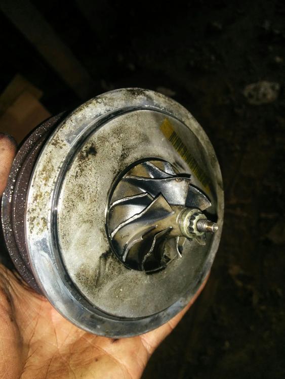 IMG_20160221_124607.thumb.jpg.b2400675a5