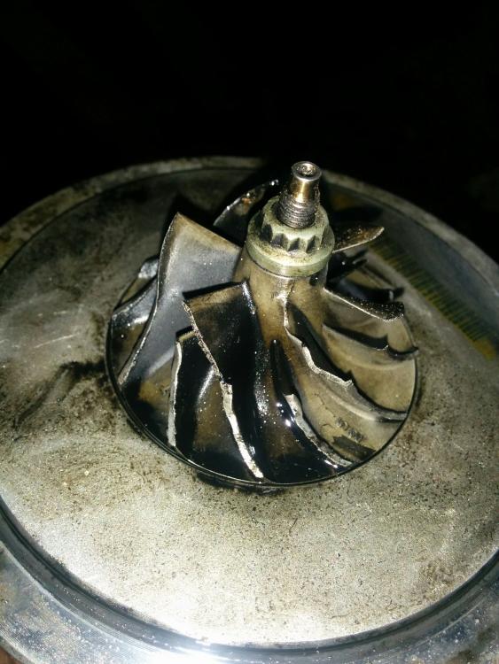 IMG_20160221_124619.thumb.jpg.77be826004