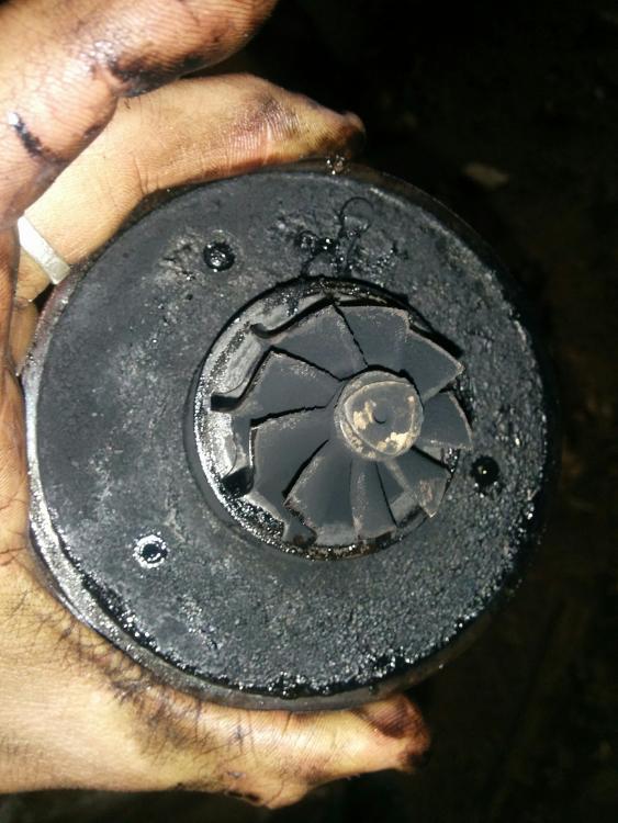 IMG_20160221_124626.thumb.jpg.792e412d8e