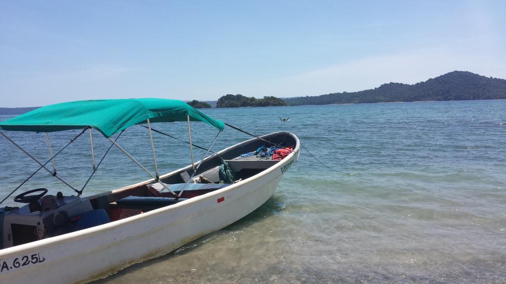 20160227_141220.thumb.jpg.fc6b51776a1250