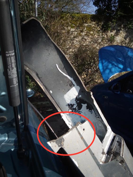 56e6d3b17fb24_IMG_20160305_151619(1).thu