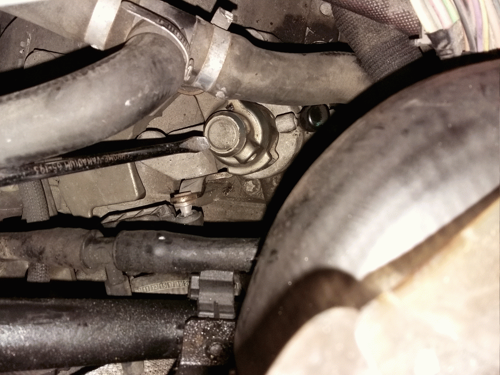 photo comande bdv.gif