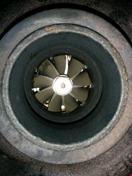 IMG_20160229_204003.thumb.jpg.b1f55fe2e7