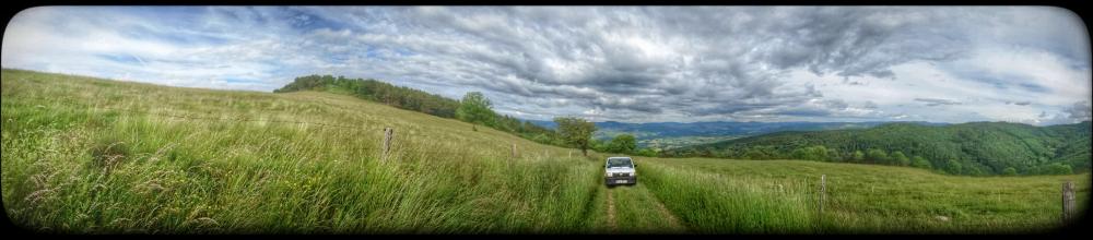DSC_0264-01.jpeg