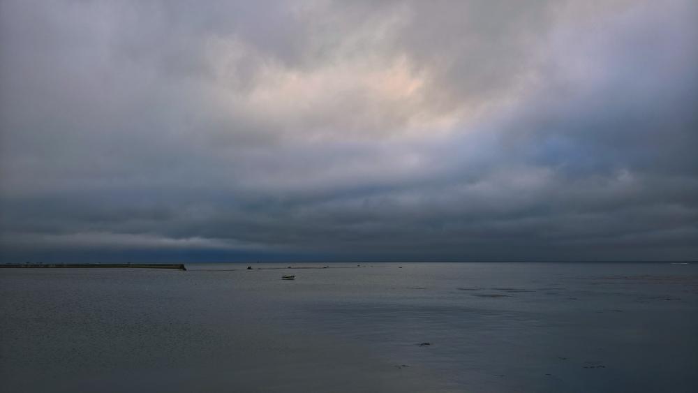 WP_20161112_16_40_08_Rich (3).jpg