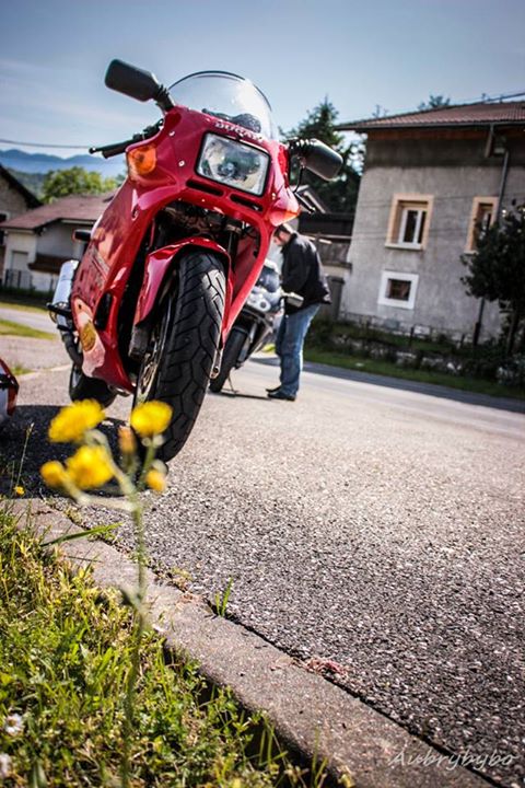 switzerland june 2014.jpg