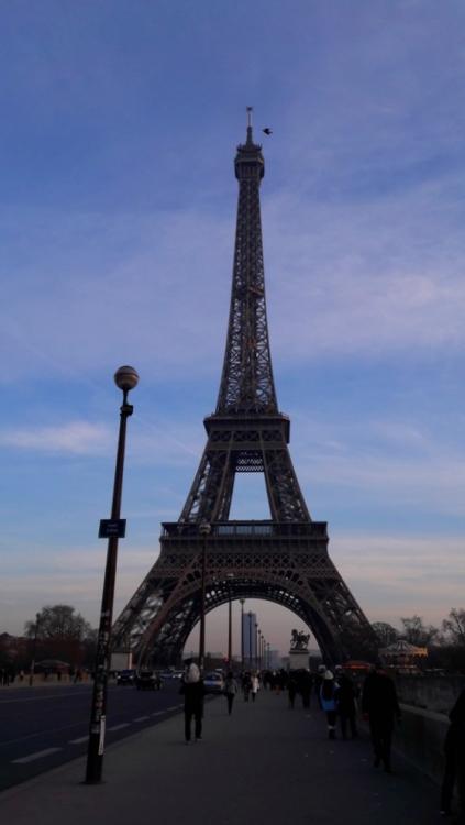 paris-trocadero-eiffel  (27).jpg
