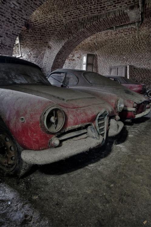 alfa-romeo-abandoned (11).jpg