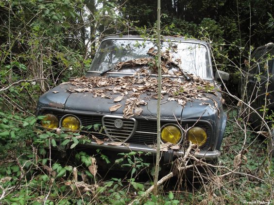 alfa-romeo-abandonnée.jpg