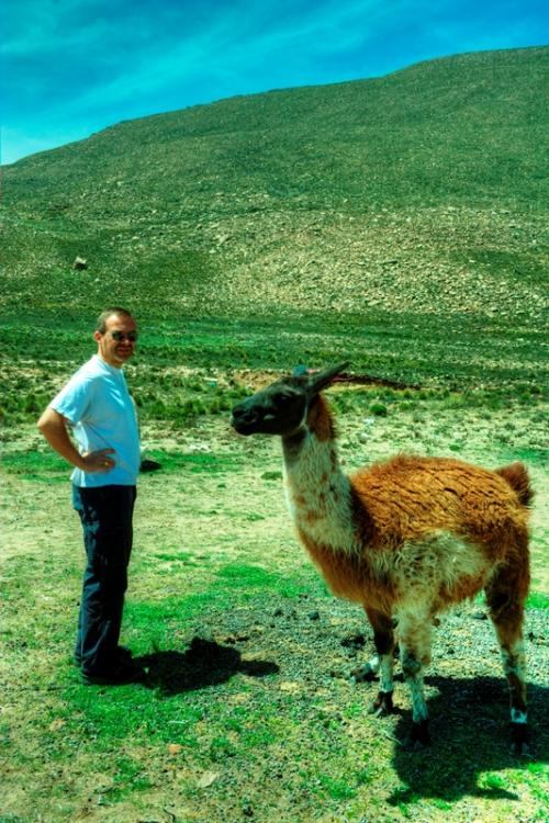 perou-j6-aro (37).jpg