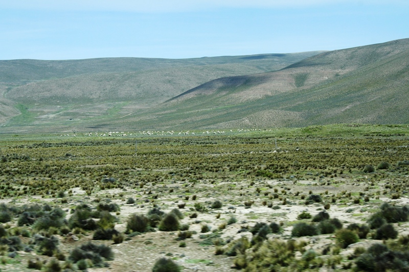 perou-j6-aro (41).JPG