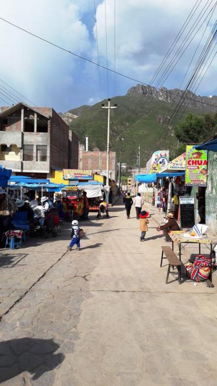 perou-j6-aro (93).jpg