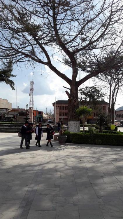 perou-j6-aro (99).jpg