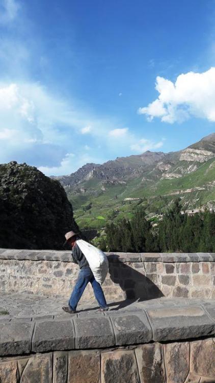 perou-j6-aro (103).jpg