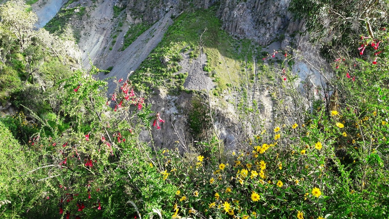 perou-j6-aro (109).jpg