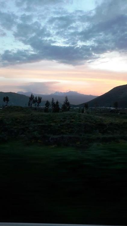 perou-j6-aro (115).jpg