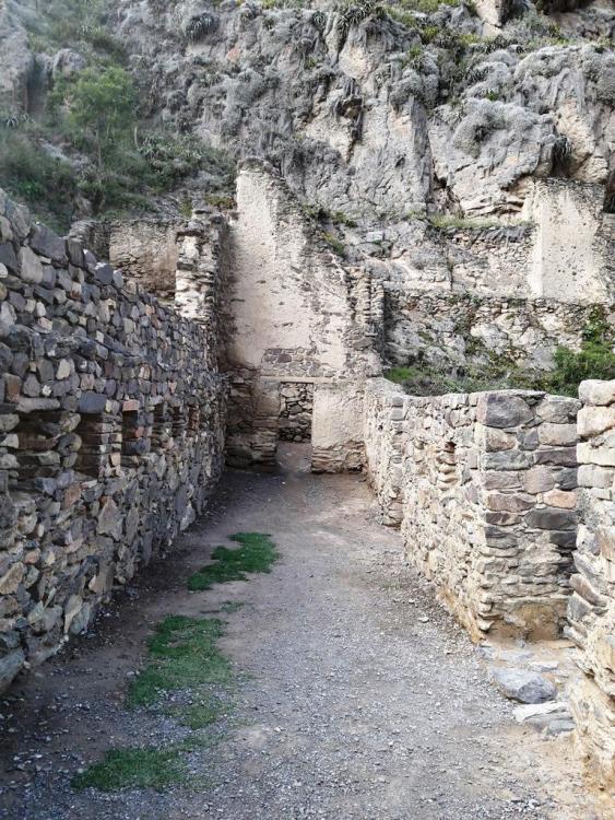perou-aro-j13 (111).jpg