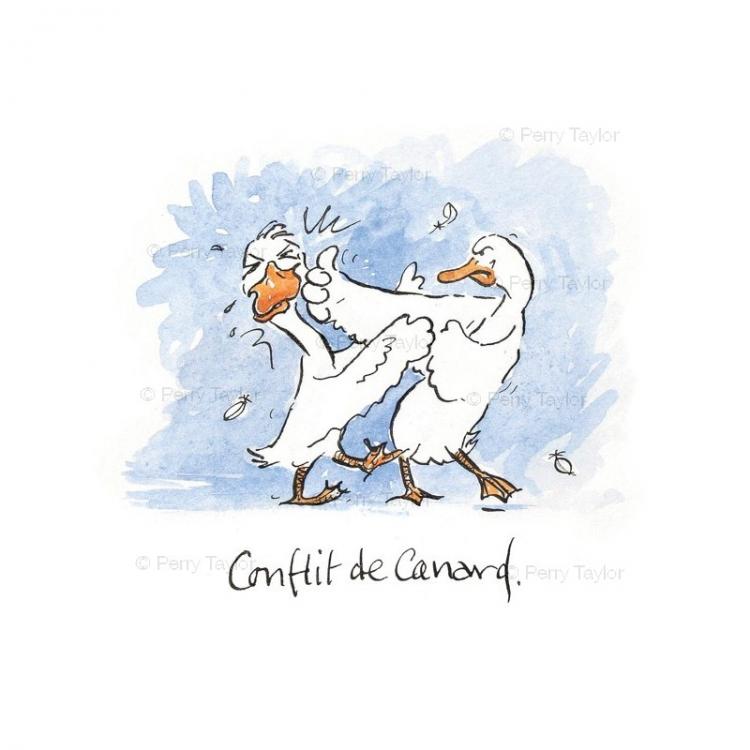 conflit-de-canard.jpg