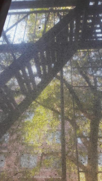 NY - 25.10.17  (0).jpg