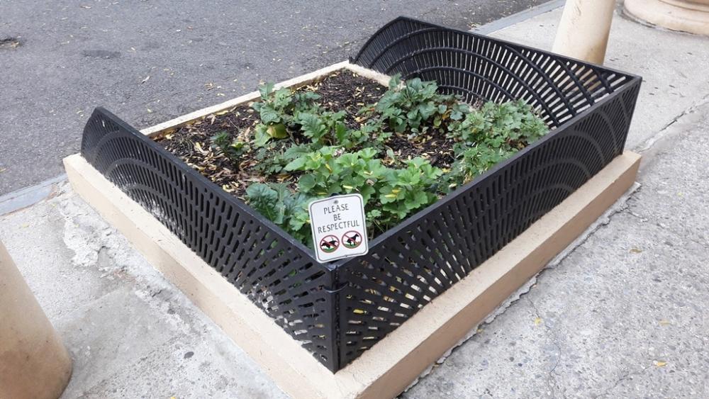 NY - 30.10.17 - ARO  (145).jpg