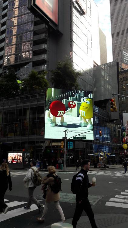 NY - 31.10.17 (3).jpg