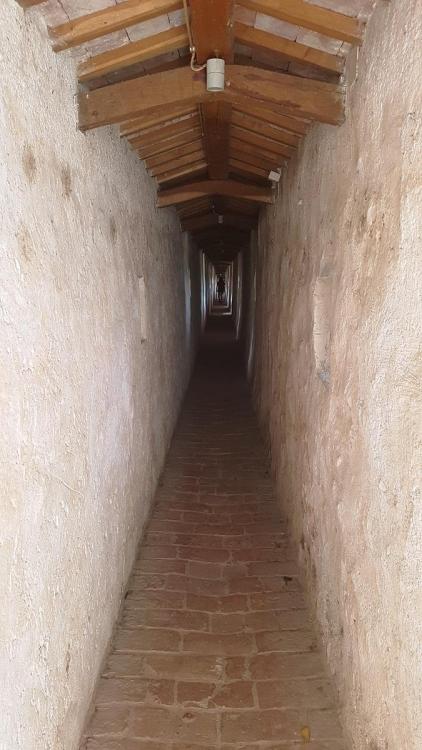 20180721_123808 v.jpg