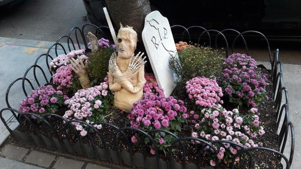 NY - 31.10.17 (173).jpg