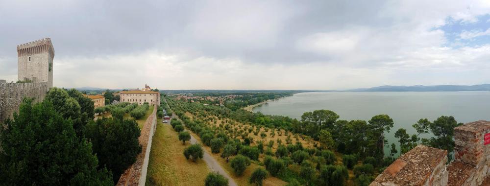 20180721_124154 v.jpg