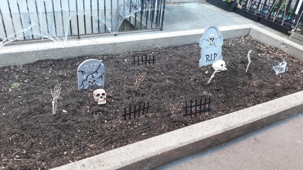 NY - 31.10.17 (172).jpg