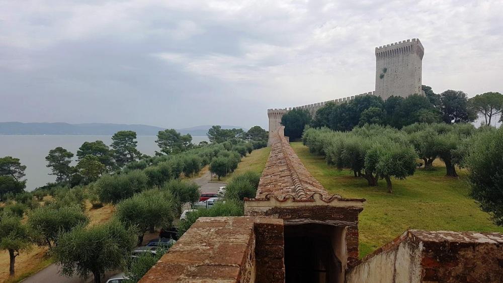 20180721_123239 v.jpg