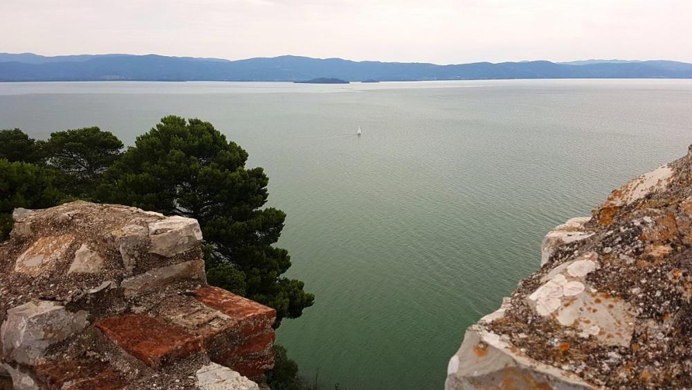 20180721_124737 v.jpg