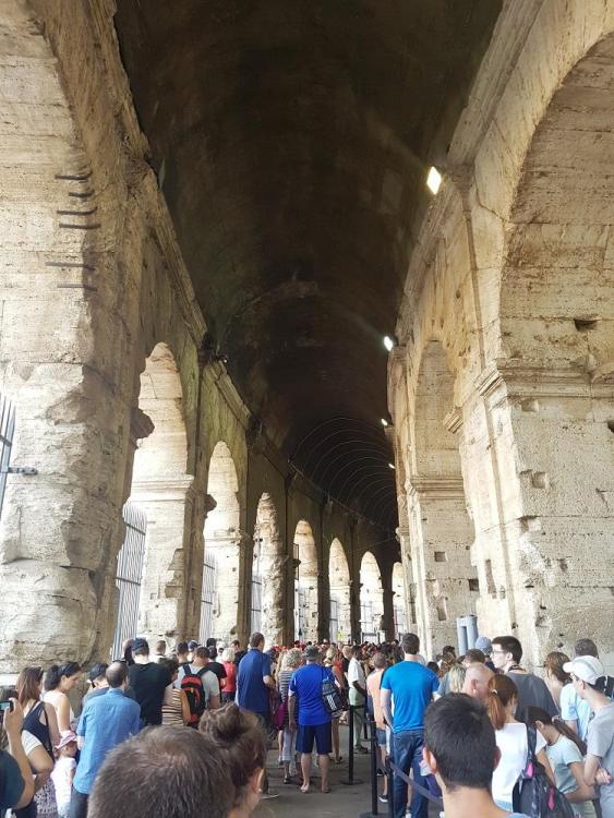 20180723_113303 v.jpg