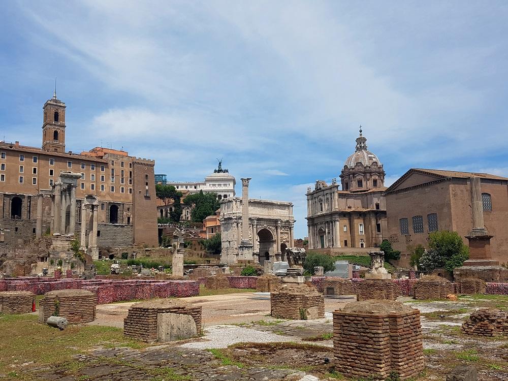 20180723_122923 v.jpg