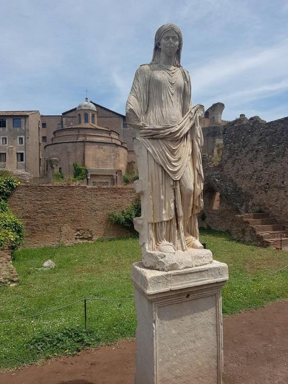 20180723_124021 v.jpg