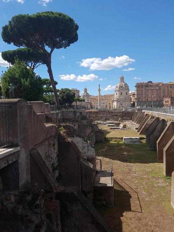 20180723_154738 v.jpg