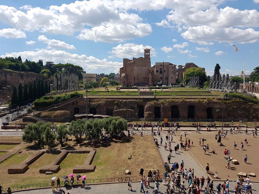 20180723_150252 v.jpg