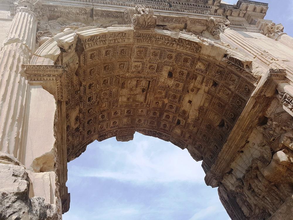 20180723_121214 v.jpg