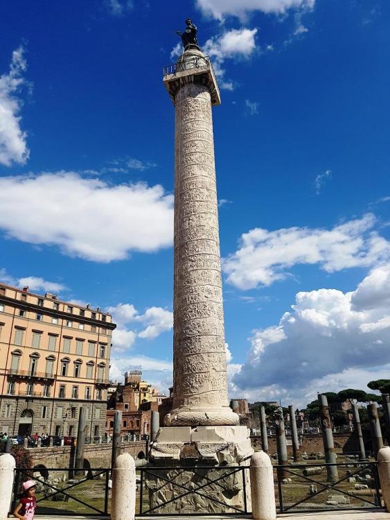 20180723_155323 v.jpg