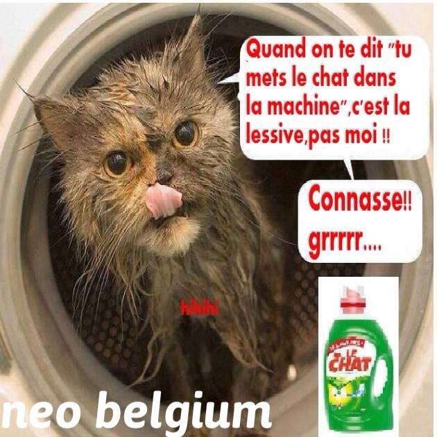 Humour_Belge1_006.png