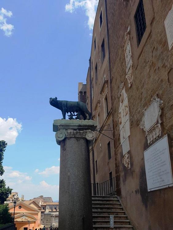 20180725_145031 v.jpg