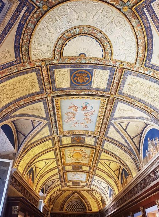 20180724_113638 v.jpg