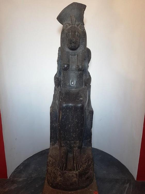 20180724_101609 v.jpg