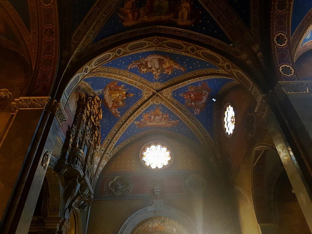 20180725_115554 v.jpg